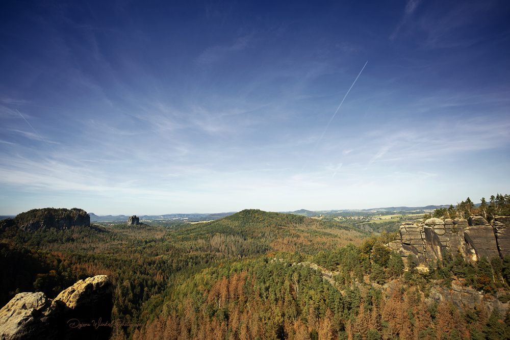 View on top Domerker